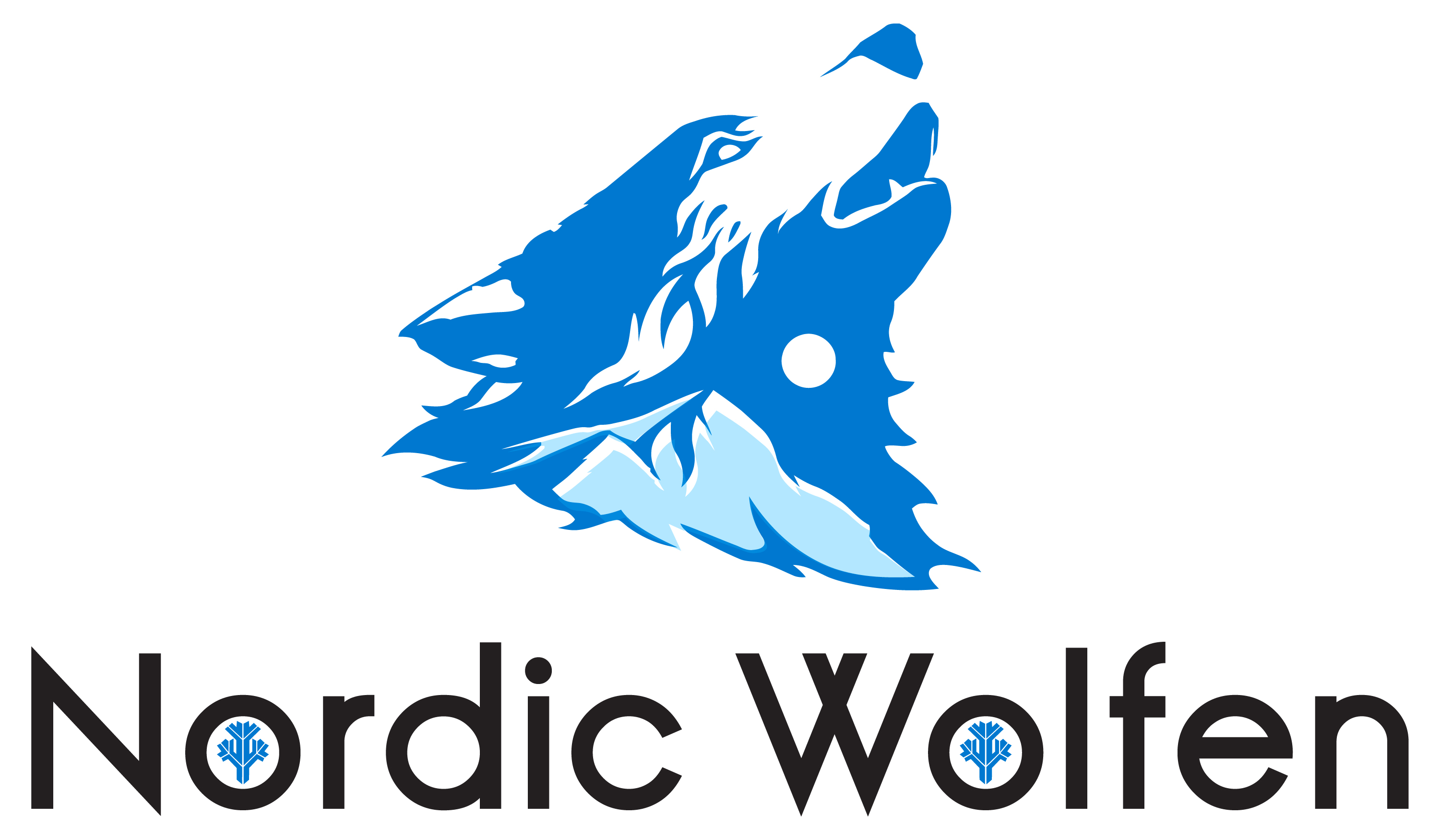 Wolfen Consulting